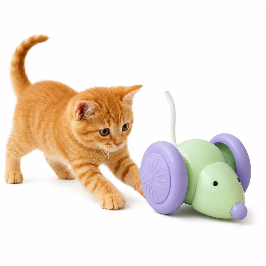 Why Every Cat Owner Should Consider an Automatic Rolling Mouse Toy
