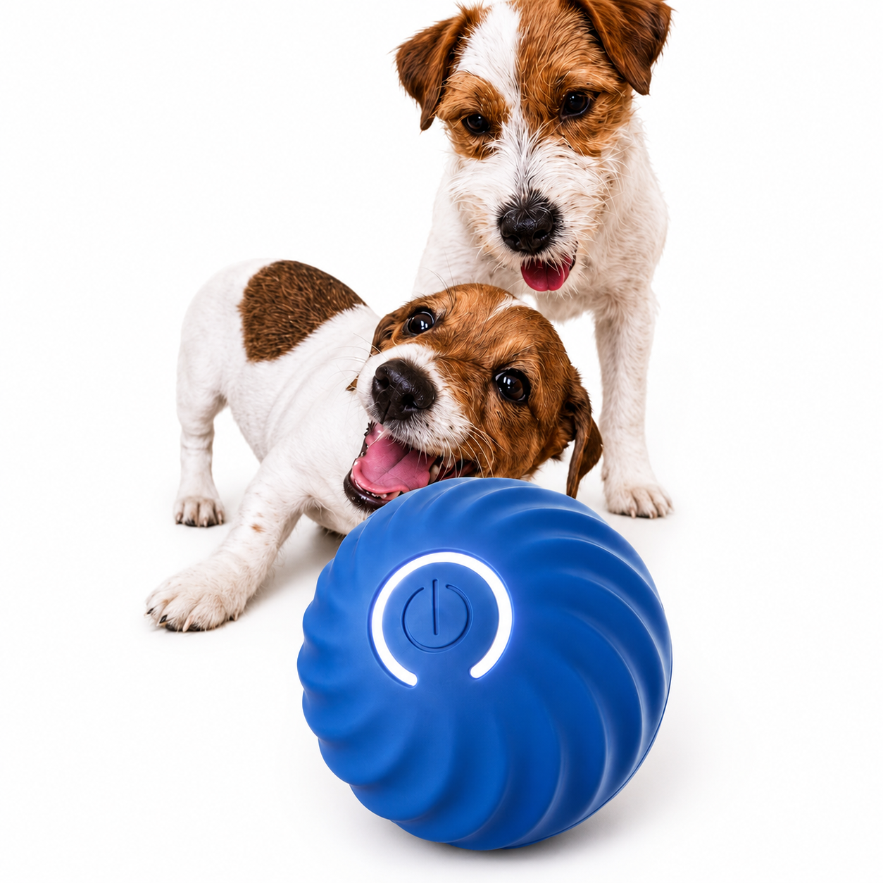 Smart Bouncing Pet Ball Toy