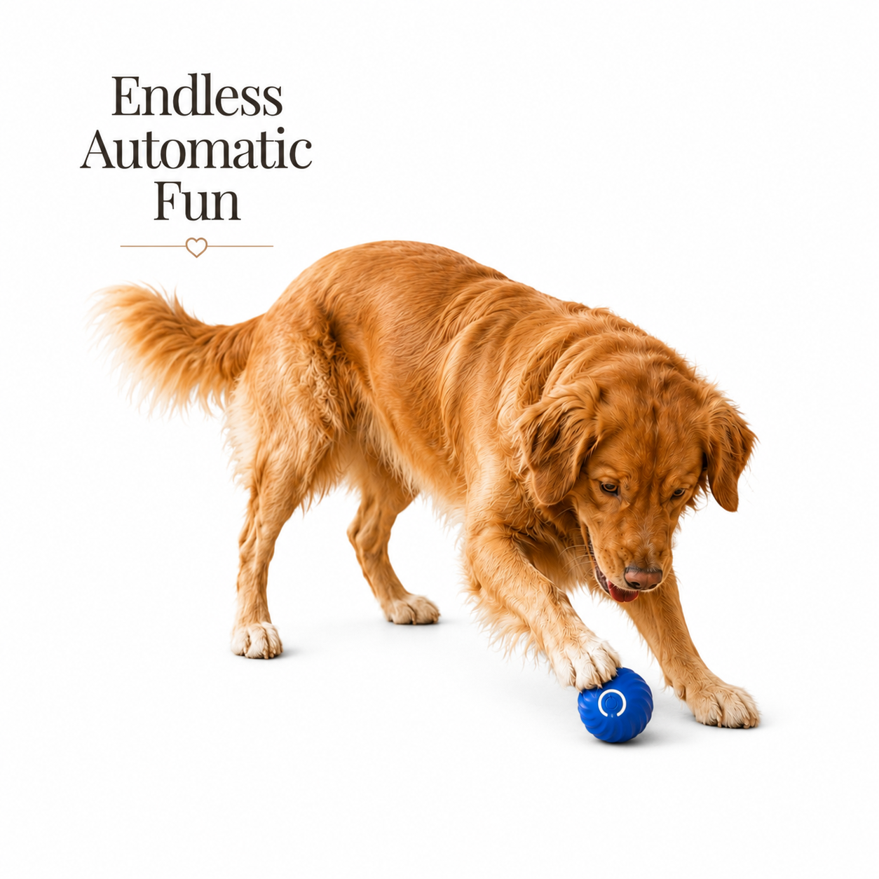 Smart Bouncing Pet Ball Toy