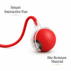 Interactive Rolling Ball Toy