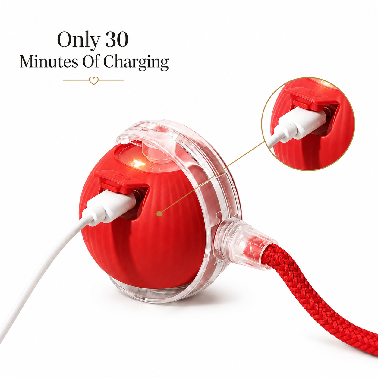 Interactive Rolling Ball Toy