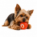 Smart Bouncing Pet Ball Toy